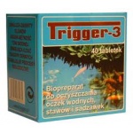 Kliknij aby zobaczyć zdjęcie w oryginalnej wielkości